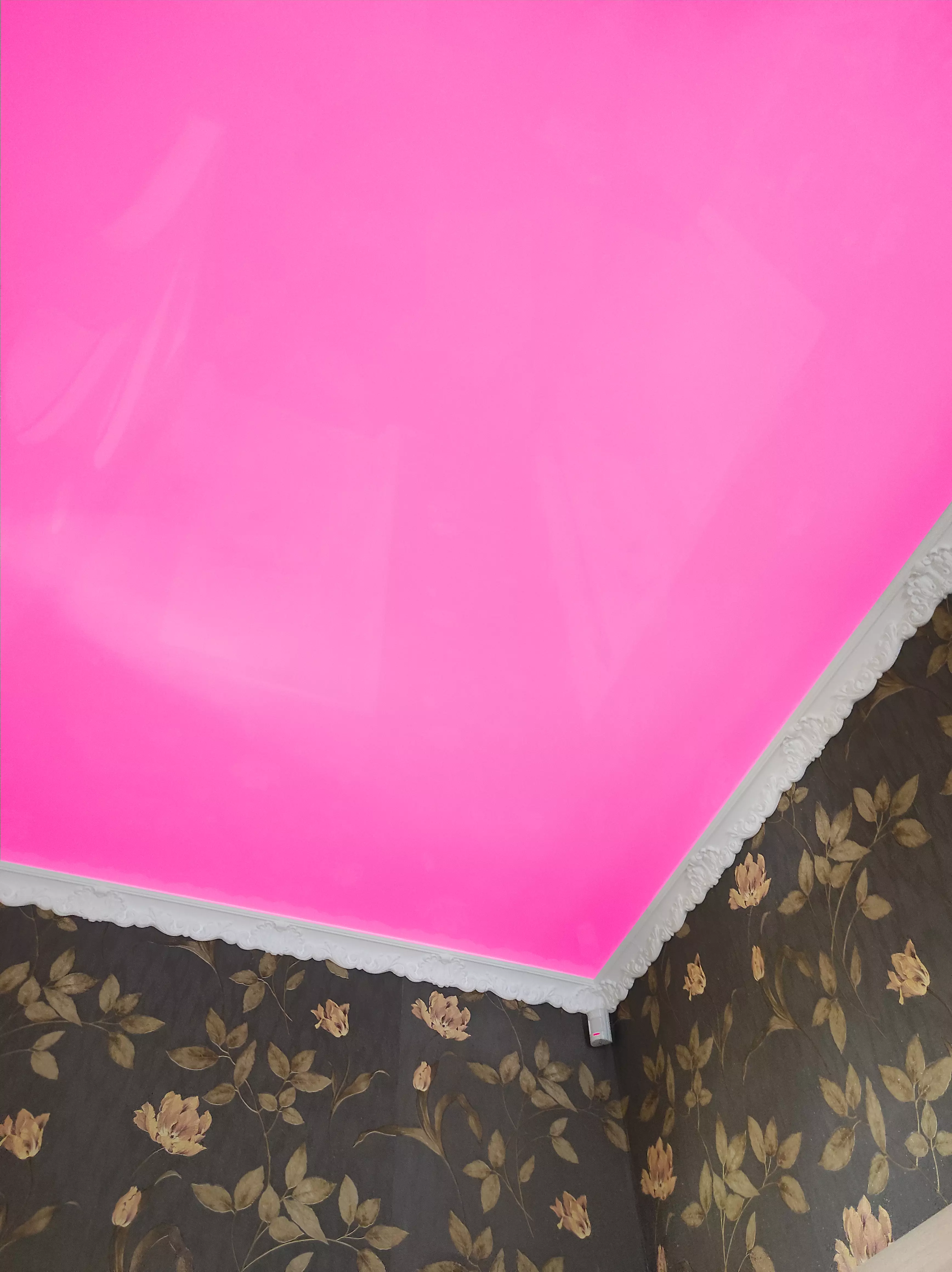 Колпино, проспект Ветеранов, 105, фото 2