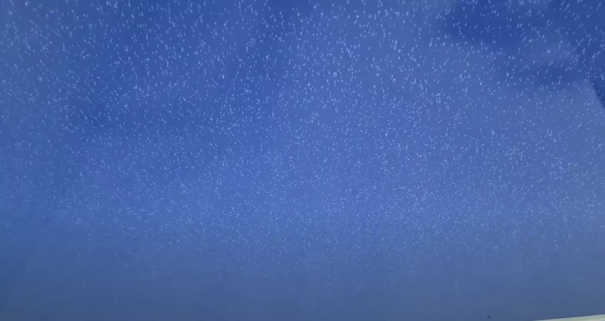 Колпино, Большая Разночинная, 16, фото 3