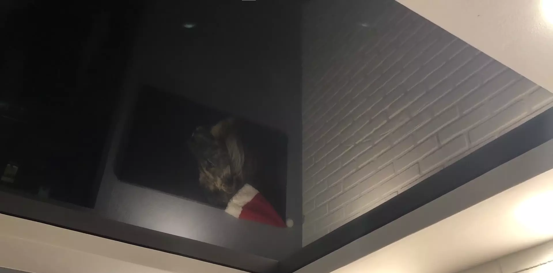 Химки, Совхозная улица, 9, фото 3