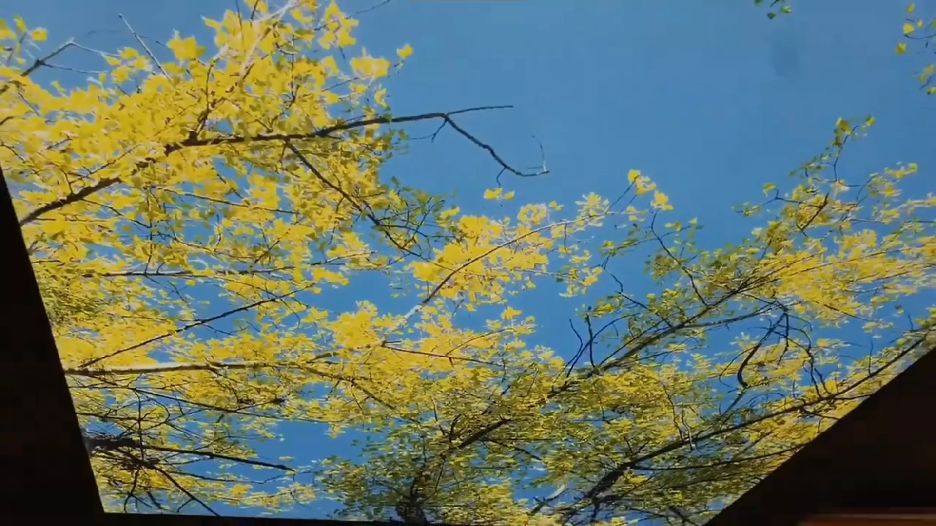 Колпино, Михаила Дудина, 12, фото 2