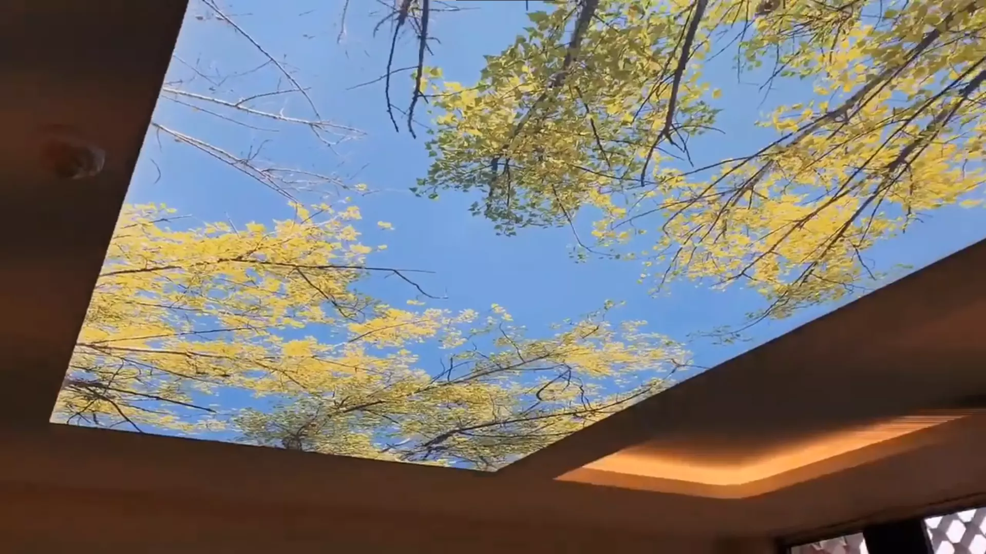 Колпино, Михаила Дудина, 12, фото 3