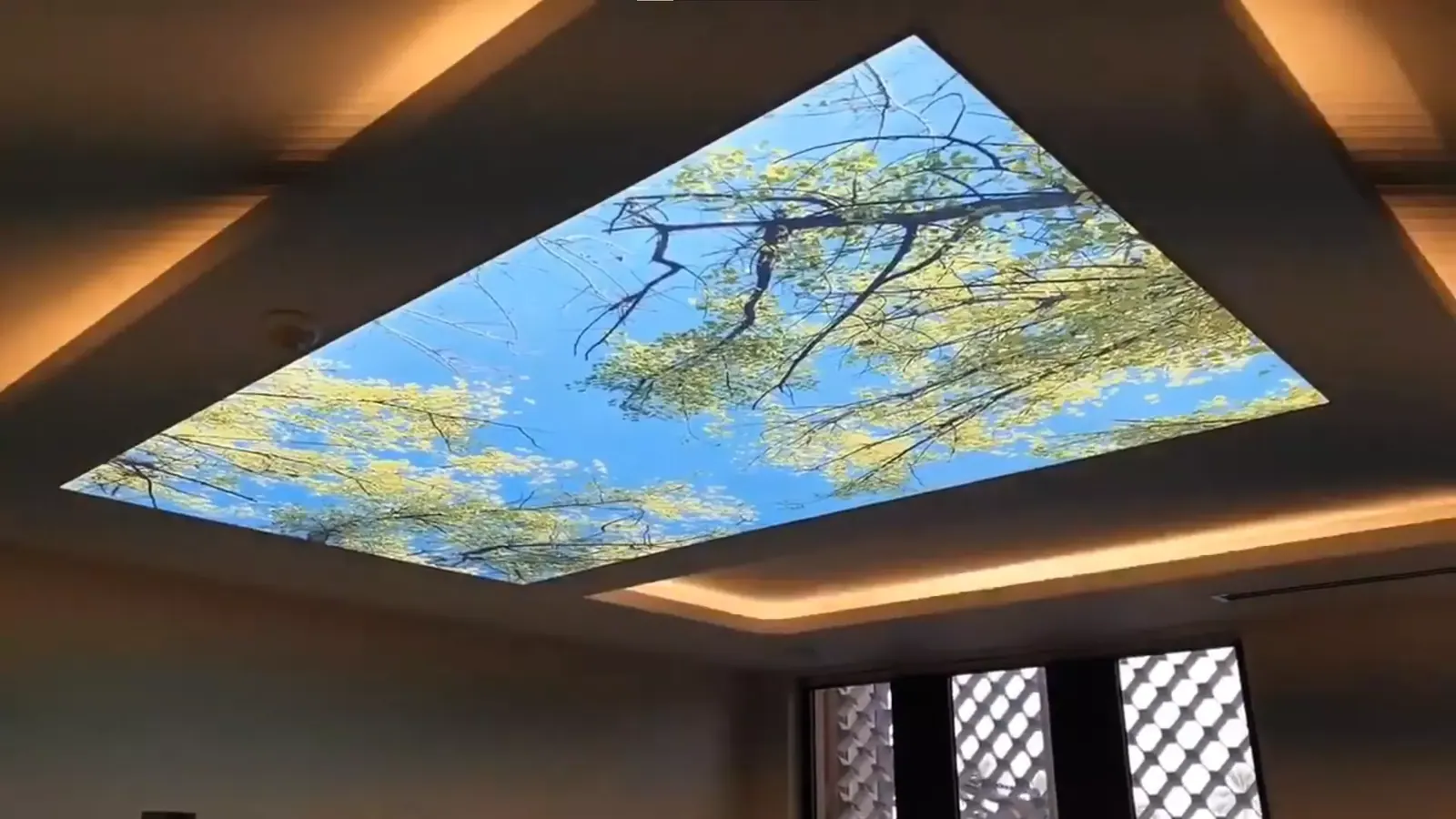3D натяжной потолок — Санкт-Петербург, Средний проспект В.О., 9, фото 1