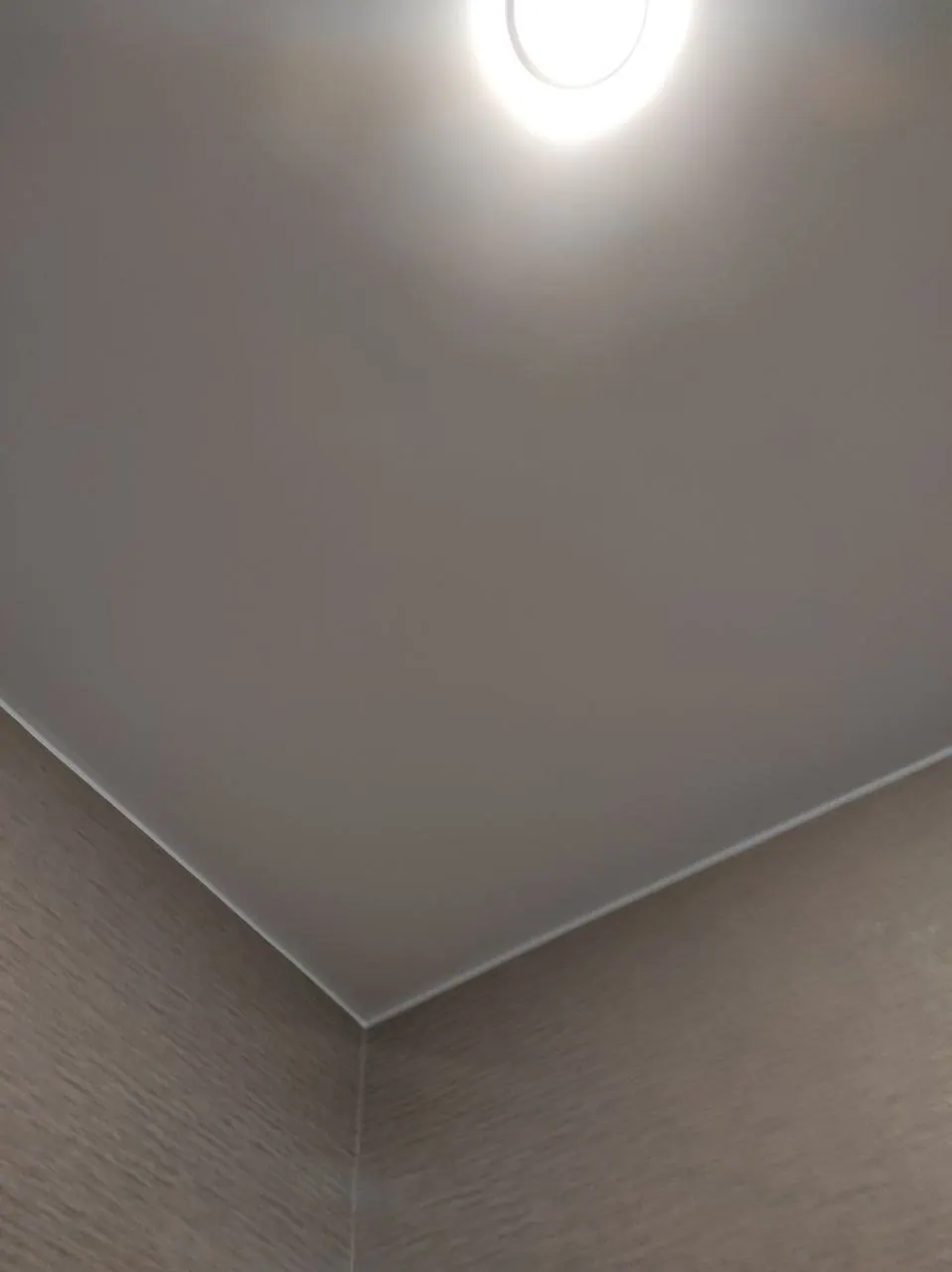 Натяжной потолок в прихожую с точечными светильниками — Санкт-Петербург, Бестужевская, 50, фото 1